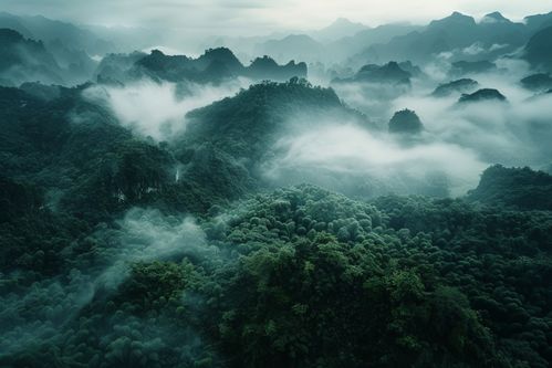 国内旅游大美桂林摄影图 从光影捕捉到版权尊重的旅程